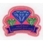 中古シール・ステッカー(女性) 安室奈美恵 刺繍ワッペンシール 「namie amuro Final Tour 20