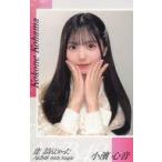 中古シール・ステッカー 小濱心音(AKB48) スマホサイ