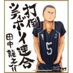 中古紙製品(キャラクター) 田中龍之介 「ハイキュー!! ビジュアル色紙コレクション」