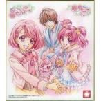 中古紙製品 花寺のどか＆ラビリン＆夢原のぞみ＆ココ プリキュア色紙ART 「映画ヒーリングっど プリキュ