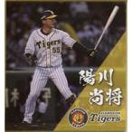 中古紙製品 陽川尚将#55 ミニ色紙 「阪神タイガースくじ」 ミニ色紙賞