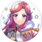 中古バッジ・ビンズ 天堂真矢 マット缶バ