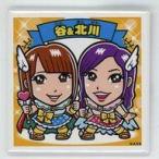 中古バッジ・ピンズ(女性) 谷真理佳＆北川綾巴(SKE48)