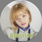 中古バッジ・ピンズ(女性) ジョンヨン 缶バッジ 「TWICE 2ND TOUR ‘TWICELAND