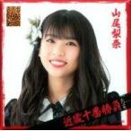 中古バッジ・ピンズ(女性) 山尾梨奈 推しタオル型ラン