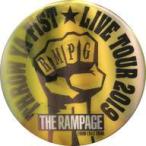 中古バッジ・ピンズ(男性) 神谷健太 チェンジング缶バッジ 「THE RAMPAGE LIVE
