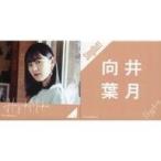中古バッジ・ピンズ(女性) 向井葉月(乃木坂46) 個別スクエア缶バッジ(2個セット) 「Sing Out!」