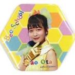 中古バッジ・ピンズ(女性) 太田奈緒 ランダム缶バッジ 「AKB48チーム8単独舞台『Bee School』」
