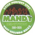 中古バッジ・ピンズ 関口メンディー/ネーム 缶バッジ 「EXILE PERFECT LIVE 2001-2020」