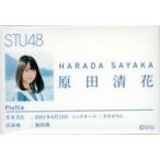 中古バッジ・ピンズ 原田清花 2期研究生ランダム個別