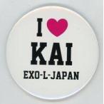 中古バッジ・ピンズ カイ(EXO) 缶バッジ 「a-nation island ＆ stadium fes.2015」 EXO-L-JA