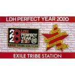 中古バッジ・ピンズ EXILE TRIBE STATION ピンバッジ2個セット 「LDH PERFECT YEAR 2020」
