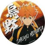 中古バッジ・ピンズ 日向翔陽 「ハイキュー!! TO THE TOP キャラバッジコレクション 応援団Ver.2.0」