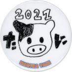 中古バッジ・ピンズ 谷真理佳(SKE48) チーム別ランダ