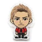 中古バッジ・ピンズ 登坂広臣 RAISE THE
