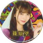 中古バッジ・ピンズ 篠原望(ラストアイドル) ランダム