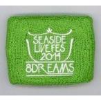 中古アクセサリー(非金属) 洲崎綾 リストバンド(グリーン) 「SEASIDE LIVE FES 2014」