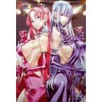 中古タペストリー [単品]セルベリア＆ユリアナ 描き下しB2タペストリー 「PSPソフト 戦場のヴァルキュリア3 WonderGOO