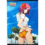 中古タペストリー A.Cheerful coast B2タペストリー 「Rio」