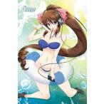 中古タペストリー [単品] 泉まひる 描きおろしB2タペストリー 「CD GWAVE 2012 2nd Memories