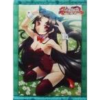中古タペストリー 周泰 B2タペストリー 「PSPソフト 真・恋姫†夢想 -乙女繚乱☆三国志演義- 呉編