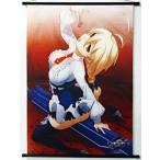 中古タペストリー Es 描き下ろしB2タペストリー 「PS3/PS VITAソフト XBLAZE CODE：EMBRYO-エクス