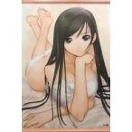 中古タペストリー Pure Smile(Tony) B2タペストリー