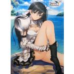 中古タペストリー ソニア・ブランシュ 描き下ろしB2タペストリー 「PS3ソフト シャイニング・レゾナンス」 Wond