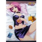 中古タペストリー リオ(チョコレート) タペストリー 「Rio」