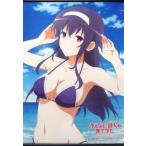 中古タペストリー 霞ヶ丘詩羽 B2タペストリー 「PS Vitaソフト 冴えない彼女の育てか