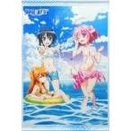 中古タペストリー ミルヒオーレ＆リコッタ＆ナナミ 描き下ろしB2タペストリー 「Blu-ray/DVD DOG DAYS”