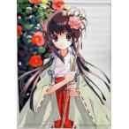 中古タペストリー 乙女椿(いとうのいぢ) B2Wスェードタペストリー 電撃萌王2012年6月号誌上通販グッズ