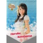 中古タペストリー(女性) 込山榛香 A3タペストリー(160