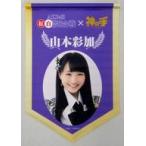 中古タペストリー(女性) 山本彩加(NMB48) A3優勝旗風
