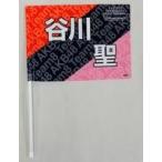 中古タペストリー(女性) 谷川聖(チーム8) 推しフラッ