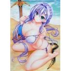 中古タペストリー セルフィ 水着コーデB1タペストリー 「ユニオリズム・カルテットA3-DAYS」