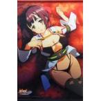 中古タペストリー 翠田いのり 描き下ろしB2タペストリー 「PS4ソフト 神田川JET GIRLS」 アニメイト購入特典