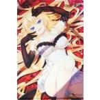 中古タペストリー テラ・イセザキ 描き下ろしB2タペストリー 「PCソフト マルコと銀河竜 -MA
