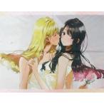 中古タペストリー フライイラスト B2タペストリー 「moonlight -フライ アートワークス-」 とらのあな有償特典