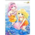 中古タペストリー アリス＆プリシラ 描き下ろしB2タペストリー 「Switchソフト ルーンファクトリー5」 ソフマップ購入