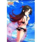 中古タペストリー 夜叉神天衣 B2タペストリー 「PS4/Switchソフト りゅうおうのおしごと!」 アニメイト購入特典