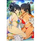 中古タペストリー 飛鳥＆焔 八重樫南氏描きおろしB2タペストリー 「PS4ソフト 閃乱忍忍忍者大戦ネプテューヌ -