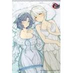 中古タペストリー 雪泉＆雅緋 描き下ろしB2タペストリー 「PS4ソフト 閃乱忍忍忍者大戦ネプテューヌ -少
