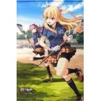中古タペストリー アリサ＆フェリス オリジナルB2タペストリー 「Switchソフト 英雄伝