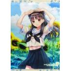 ショッピングreflection 中古タペストリー [単品] 金城勇希 B2タペストリー 「PS4/Switchソフト BLUE REFLECTION TIE
