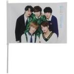 中古タペストリー TOMORROW X TOGETHER IMAGE FLAG(イメージフラッグ) 「2021 T