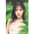 中古タペストリー [単品] 田中ちえ美 A3タペストリー 「田中ちえ美1st写真集 未確認 ゲーマーズ超限定版