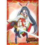 ショッピングクイーンズブレイド 中古タペストリー 魔装剣士カグヤ B2タペストリー 「クイーンズブレイド グリムワール」