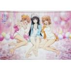 中古タペストリー(大型) 雪ノ下雪乃＆由比ヶ浜結衣＆一色いろは キャミソールver. 描き下ろしB1タペストリー 「やはり