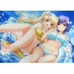 ショッピングreflection 中古タペストリー(大型) 紬ヴェンダース＆水織静久 2022ver. B2Wスエードタペストリー 「Summer Po